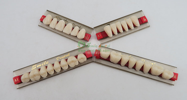 Acrylic Resin Teeth